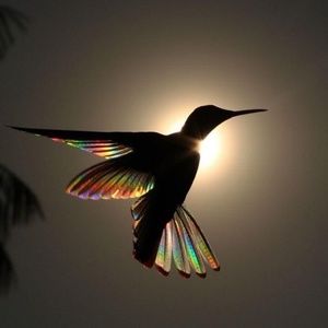 Meet your Posher, Ashleigh